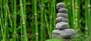 Rocks in a bamboo wood